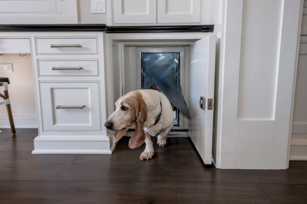 doggy door for wall