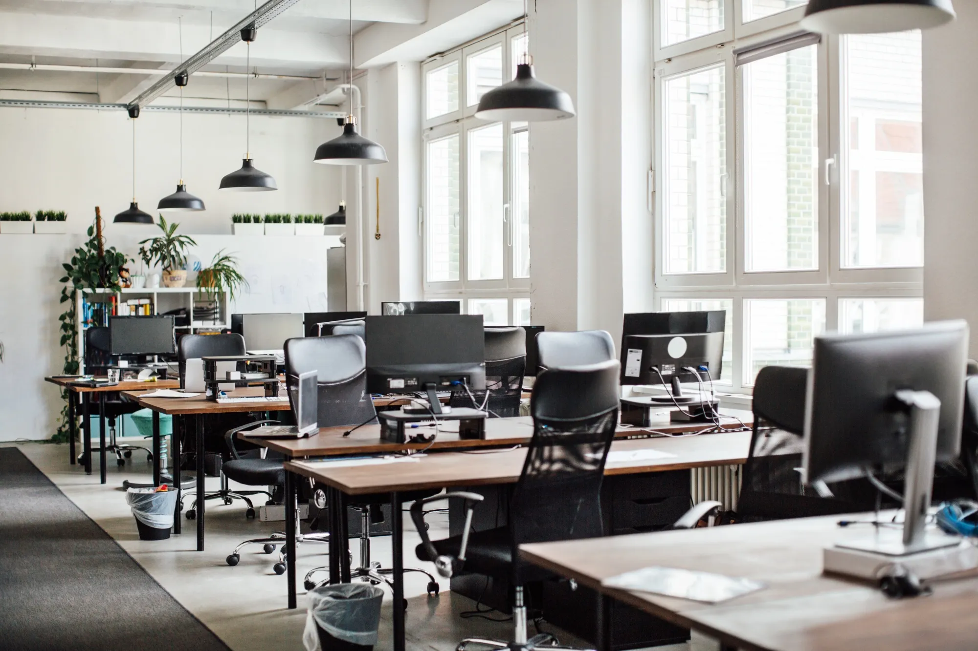 Serene Sober Service Standards: Ensuring Safety and Satisfaction