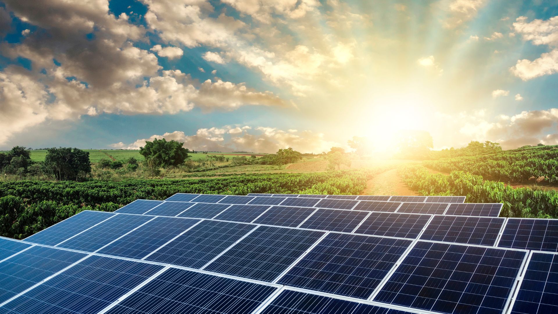 Solar Power Cuts Down Your Costly Electric Bills