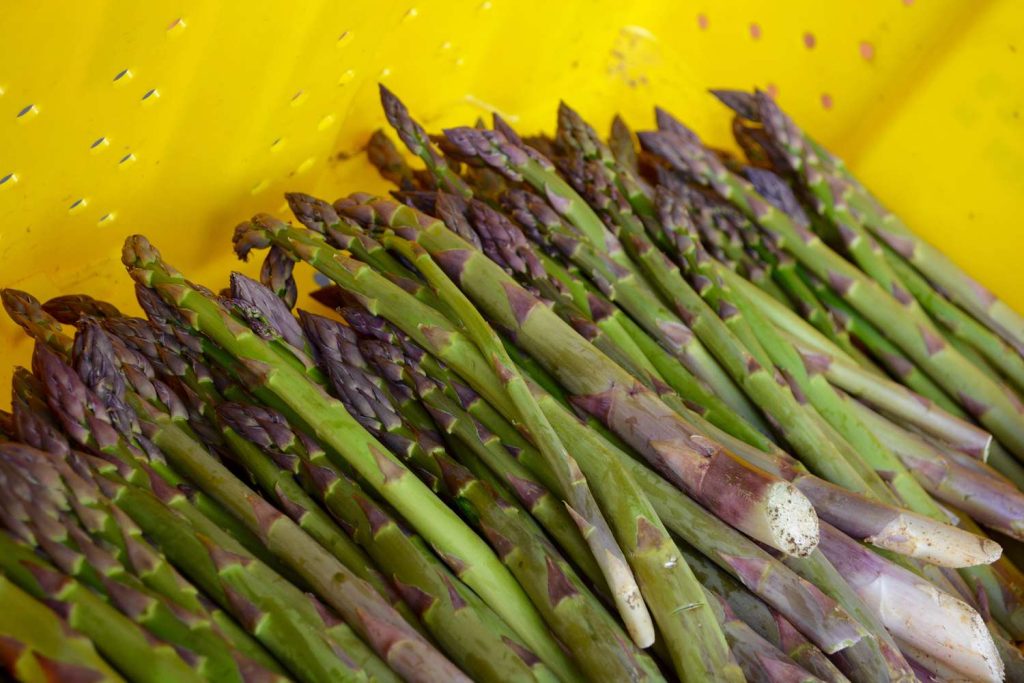 Garden planning feels easier with seeds suited to local conditions